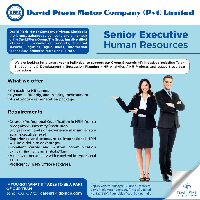 Senior Executive - Human Resources